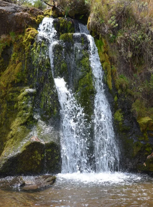Kitulo_National_Park_Mwakipembo_Waterfalls_51