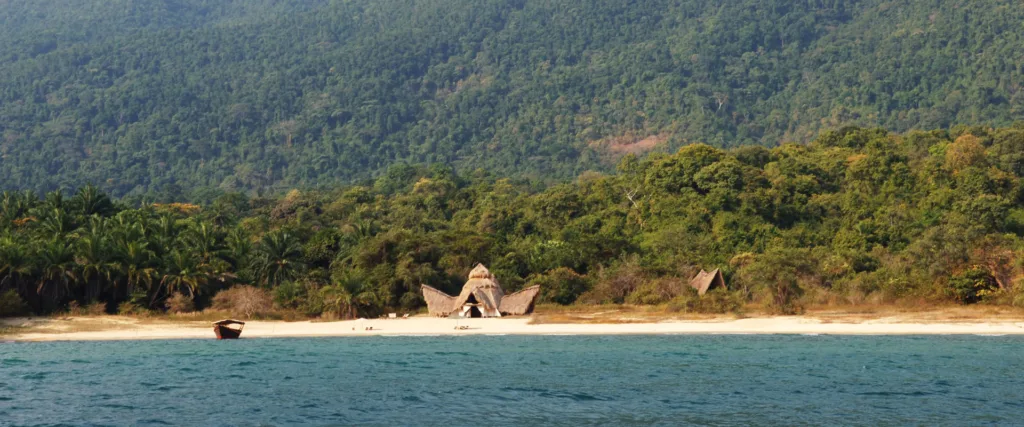 western-tz-luxury-tanzania-safaris-grey